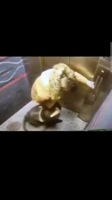 полёт шмеля