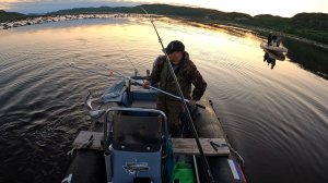 ПОПАЛИ НА КЛЁВ ГОРБУШИ