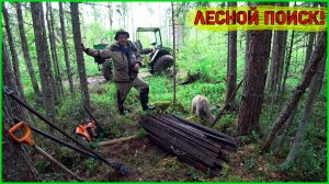 ДАВНО У НАС ТАКОГО ШИКАРНОГО РЕЗУЛЬТАТА НЕ БЫЛО! ВЫВОЗИМ РЕЛЬСЫ ИЗ ЛЕСА!