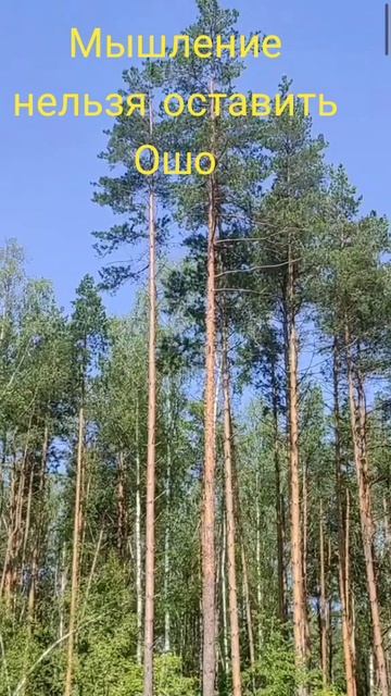 (2) Мышление нельзя остановить Ошо смотреть онлайн