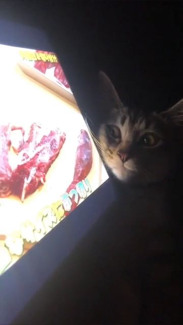 Мечтатель смотреть онлайн