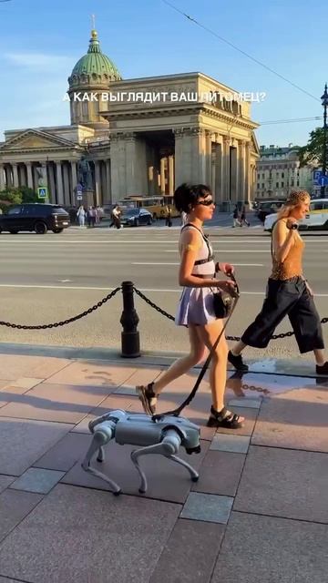 😁 Ничего необычного, просто петербурженка выгуливает питомца по Невскому проспекту