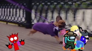 Побег от собаки 0-20