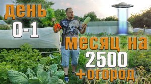 Месяц  2500 рублей  на еду + огород. День 0-1.
