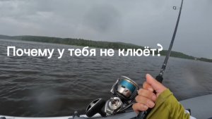 Почему не клюёт на спиннинг?