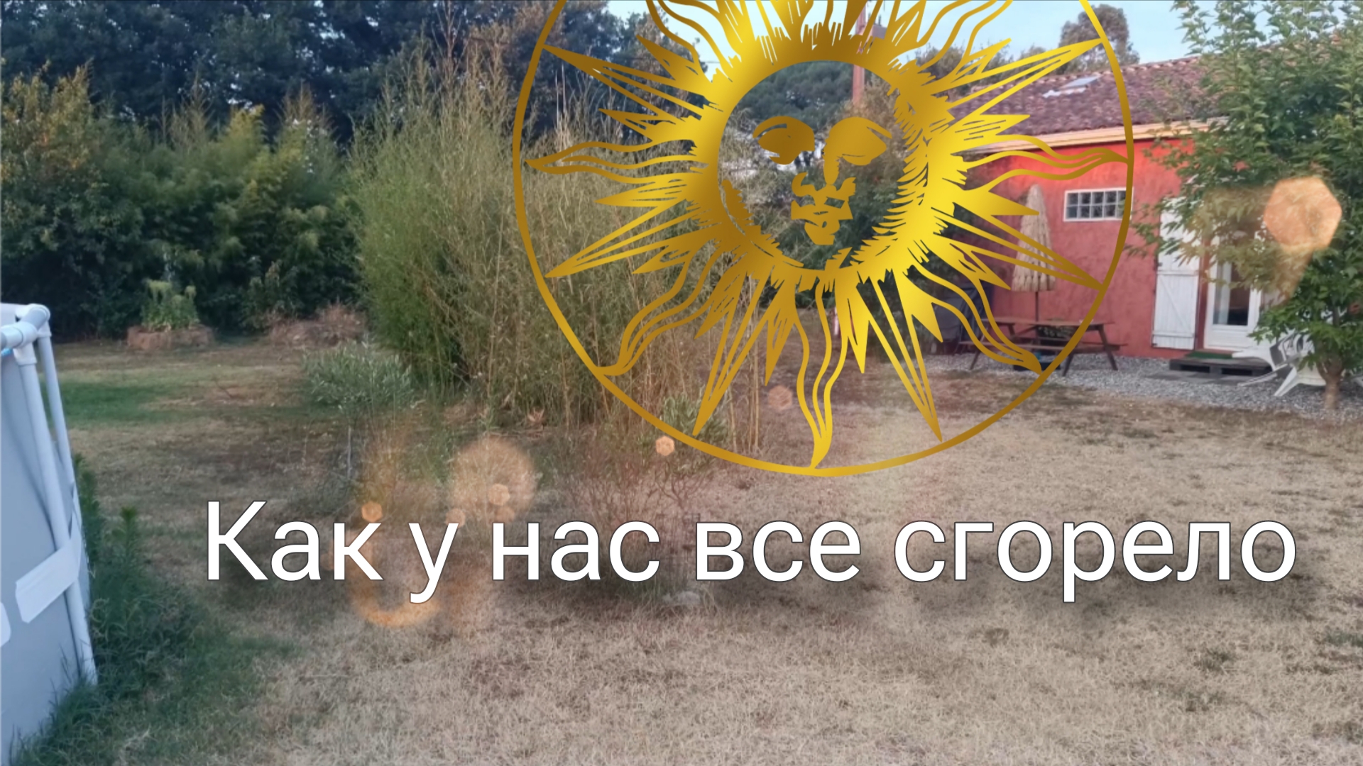 Снова странные клиенты. 14 июля. Небольшой обзор сада. смотреть онлайн