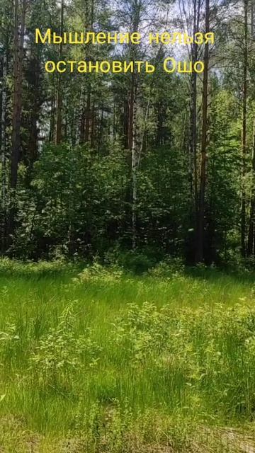 (14) Мышление нельзя остановить Ошо смотреть онлайн