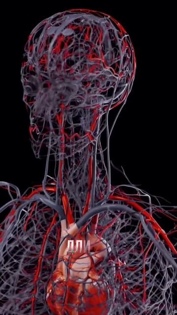 Хвала Аллаху Господу Миров ! смотреть онлайн