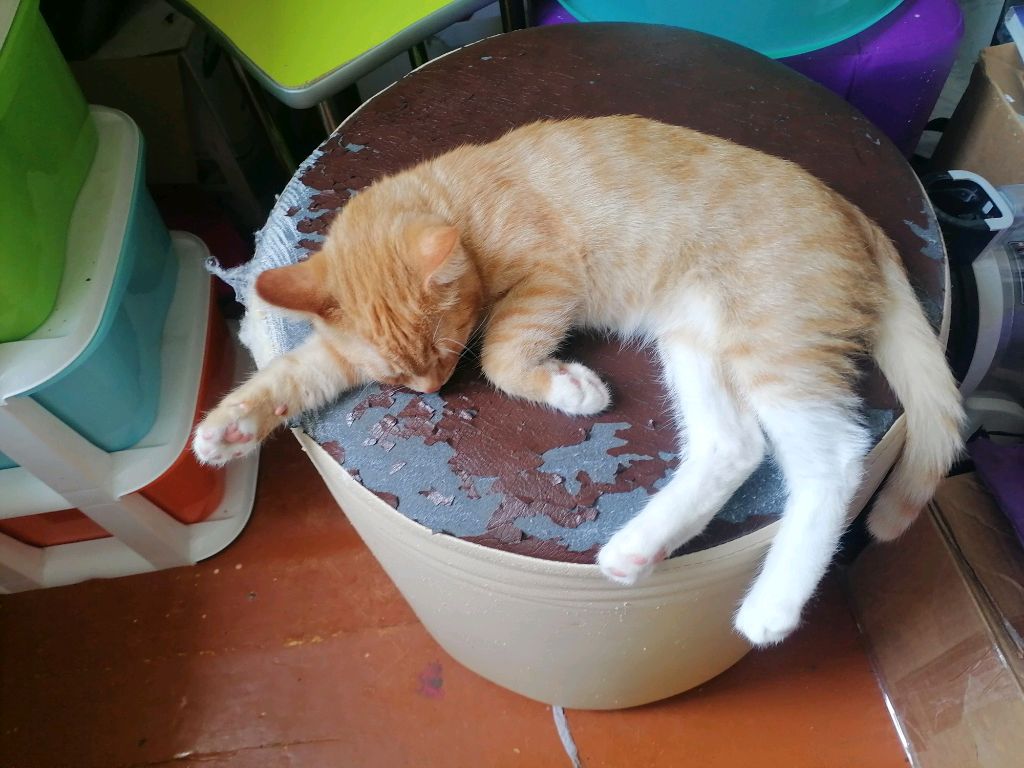 Как мы ездили без рук на велеке смотреть онлайн