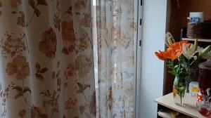 СЪЕЗДИЛИ ЗА МЯСОМ🥩 НА РЫНОК/КУПИЛА НОВЫХ ЛИЛИЙ.