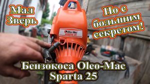 Бензокоса Oleo-Mac Sparta 25. Полный разбор, сложная и хитрая коса.