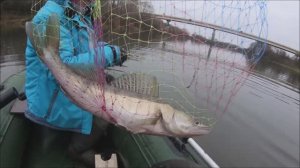 ЛОВЛЯ НА ПЕРЕМЕТ И НА ПЕРЕВЕРТКИ FISHING FOR burbot and pike perch