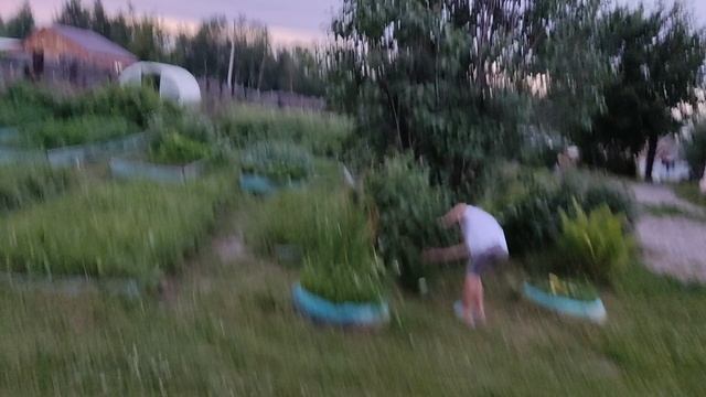 сестра против брата смотреть онлайн