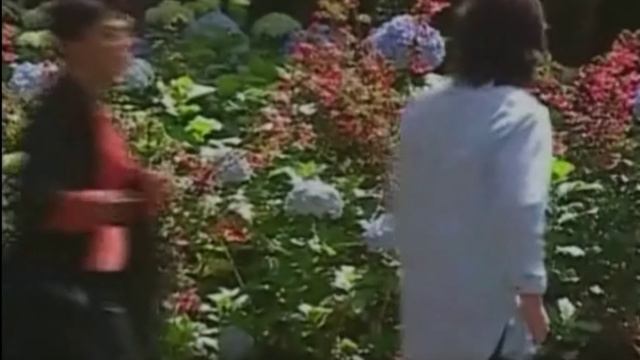 Я б  такого   полюбила - ||Виктория   и  Херонимо||