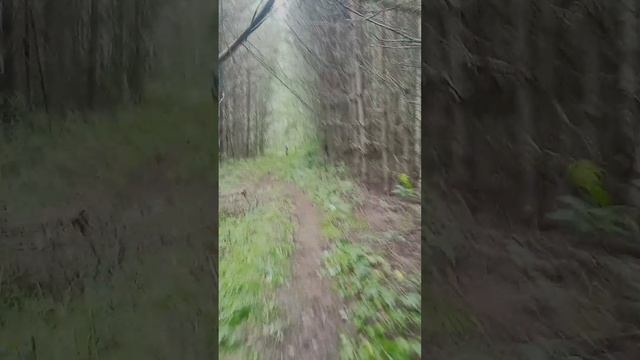 GRUT 2024 дистанция T100