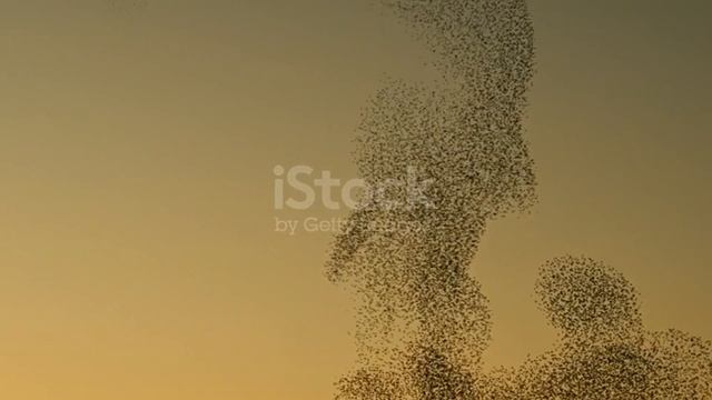 Песня о мире добра, и дружбы