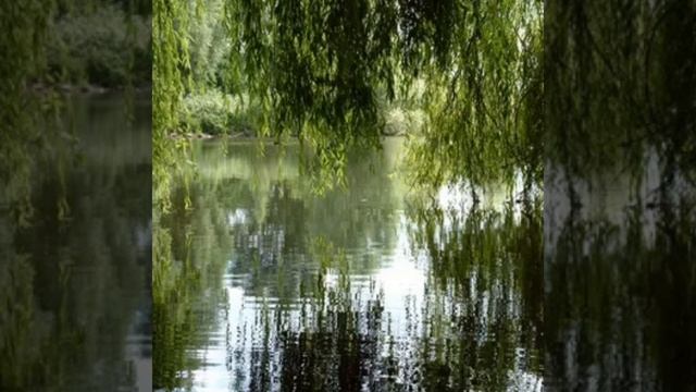 Игорь Тальков (Чистые пруды)