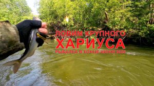 Ловим КРУПНОГО хариуса на горной реке в Приморском крае. В конце июня 2025 #горнаярыбалка #хариус