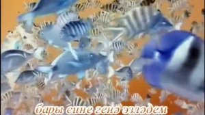 Гузель Уразова: караоке «Эзлэдем»