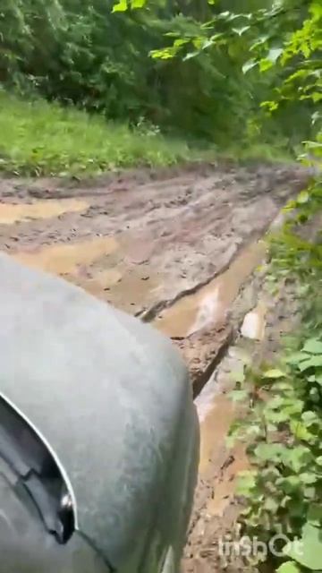 #лес #automobile #нива.mp4