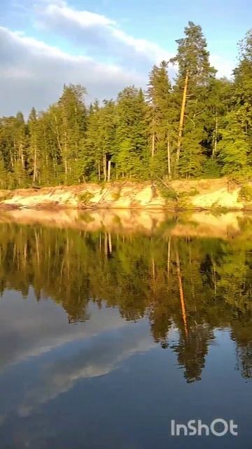 #отдых #природа #fishing #простокайф.mp4