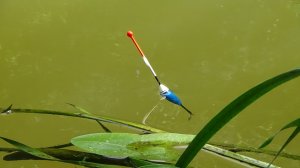 Рыбалка на поплавок в дневную жару на речке около травы на удочку