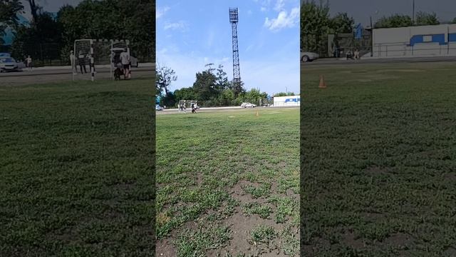 3 Отл. Grosefohnon OMEN ++- №8. КЧК ИРКУТСК 5 июля`25 Моно немецких овчарок