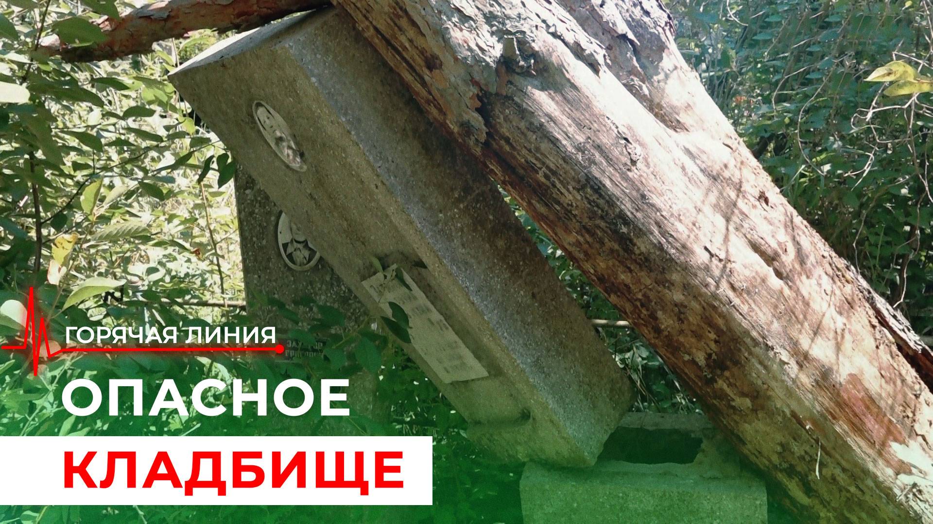 Опасное кладбище. 
Деревья падают на могилы. ГОРЯЧАЯ ЛИНИЯ