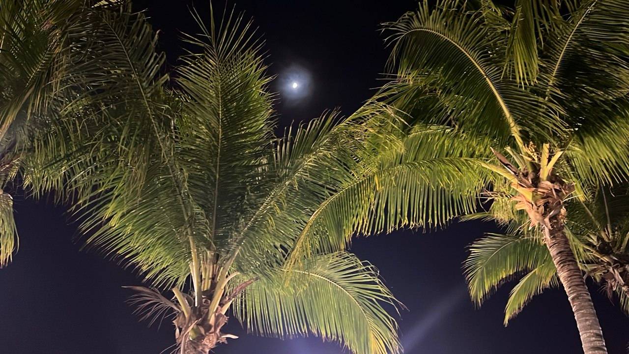 Хайнань/ Vlog от мамы смотреть онлайн