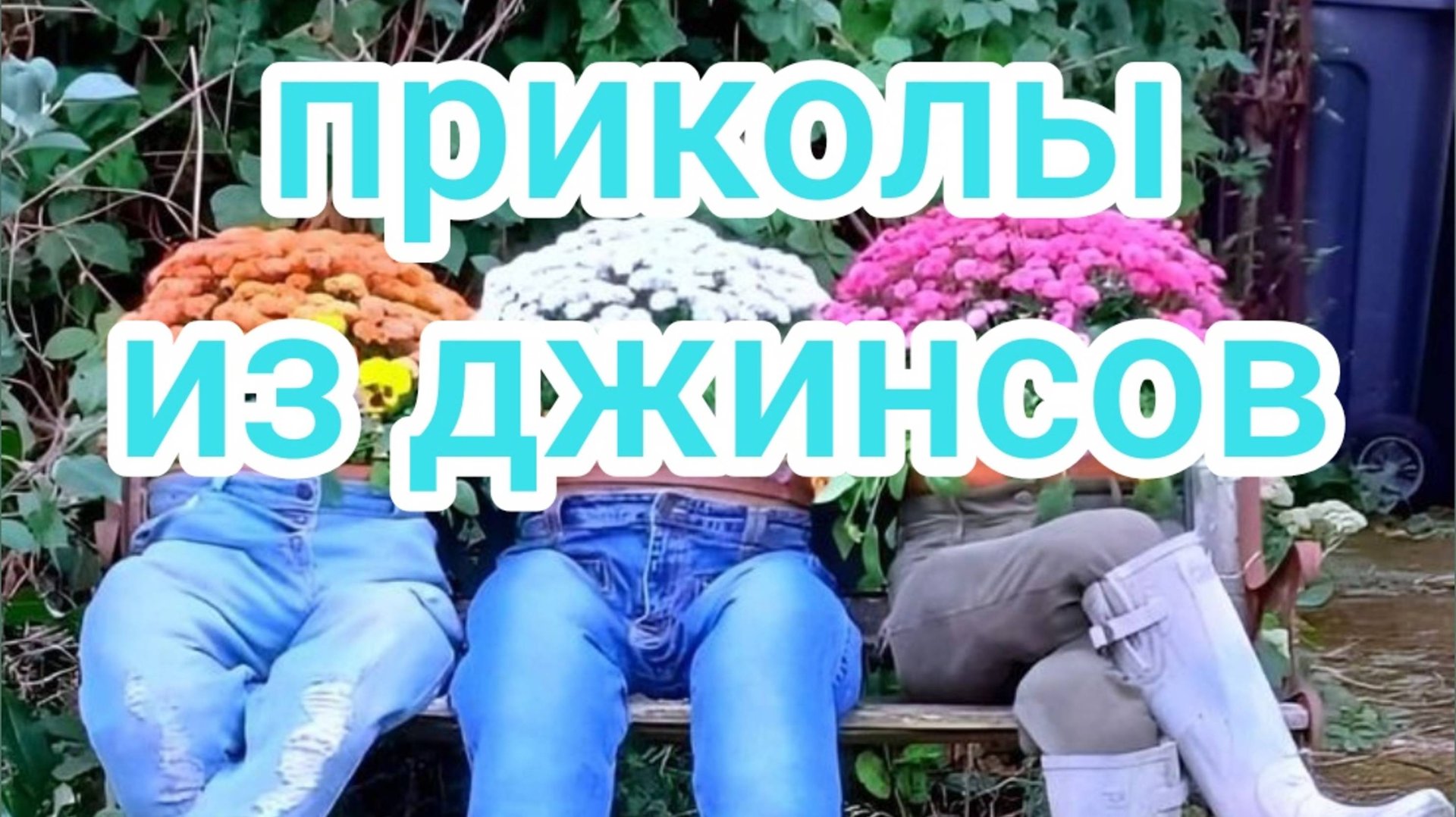 Приколы из джинсов смотреть онлайн