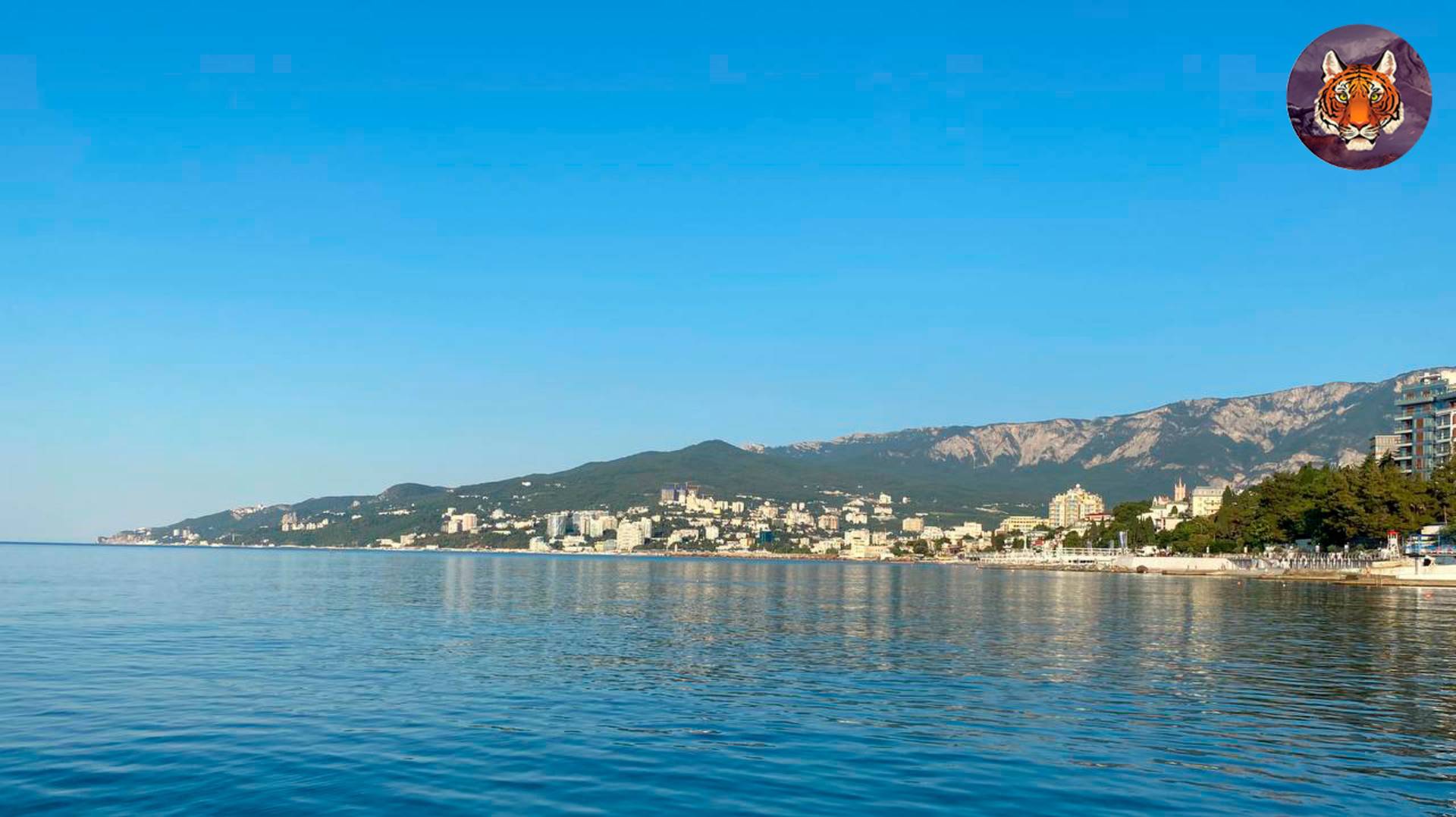 Звук прибоя всё ближе... 🌞➡️🌊 смотреть онлайн