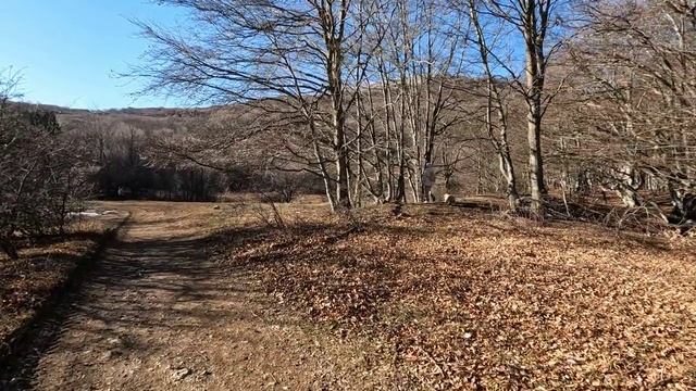 Шок! Где найти ёлку в Крыму???
Продолжение поездки в Крым на новый год