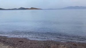 пляж отеля Petunya Beach Resort.  4* Бодрум Турция