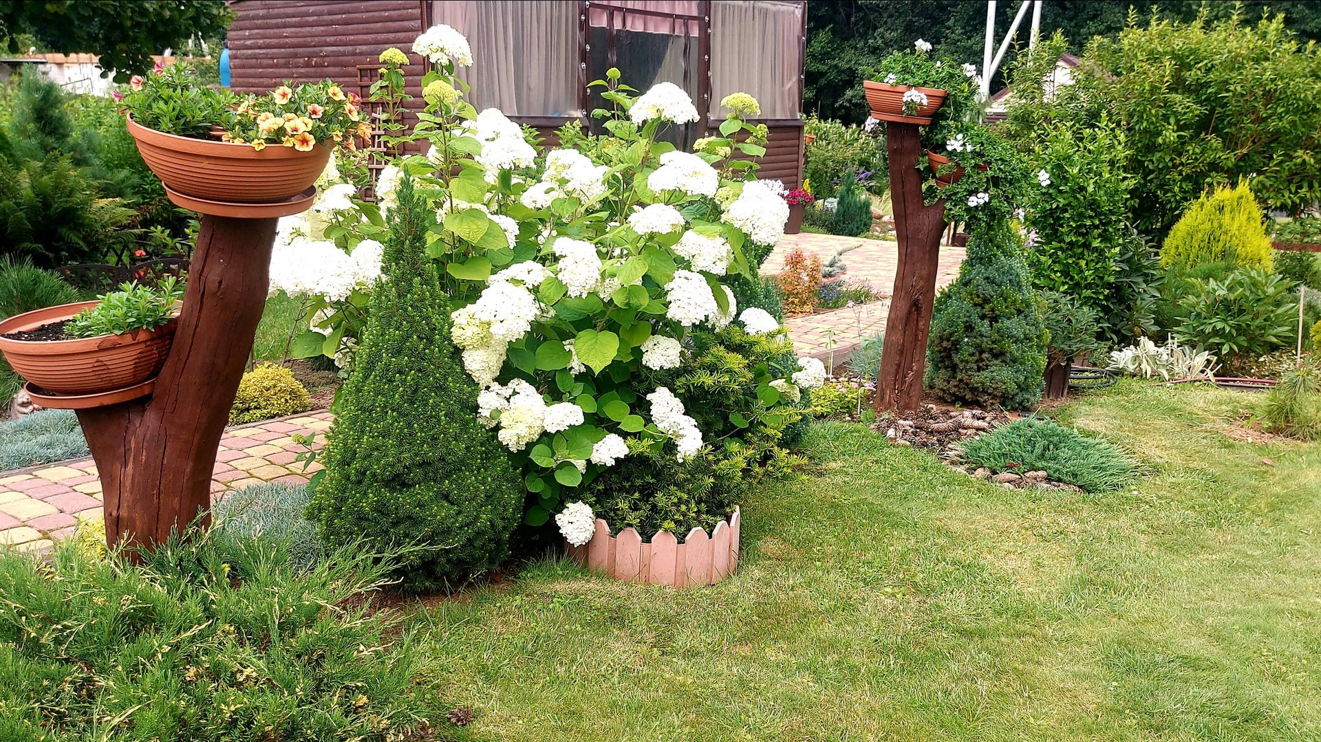 Дача в середине лета🍀🌞🌸.Много обрезки,много прополки,много дождей🙃 смотреть онлайн