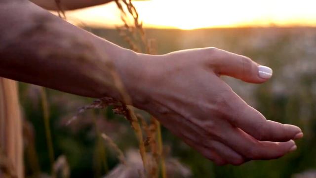 IRON MI - Остаться (Official video) смотреть онлайн