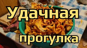 Просто прогулка/ Неожиданно,нашли землянику и лисички.
