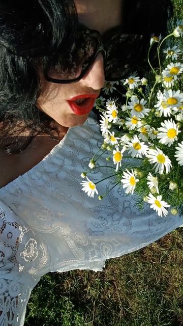 2025-07-02-082023202 смотреть онлайн