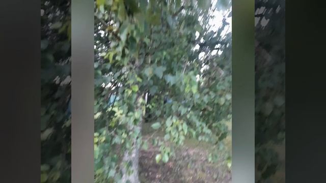 Природа она всегда прекрасна.mp4 смотреть онлайн