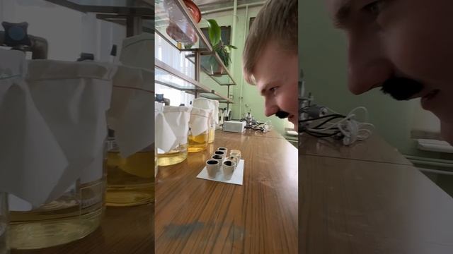 мини-сериал "Абитуриент: экскурсия по ВоГУ" серия 5 смотреть онлайн