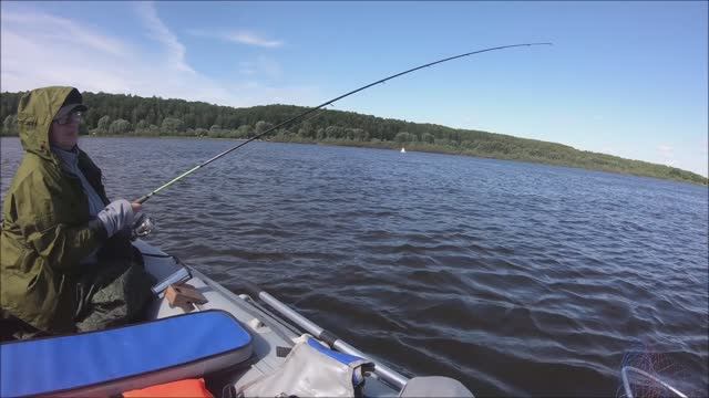 ЖЕРЕХ на троллинг река Ока ASP For Trolling