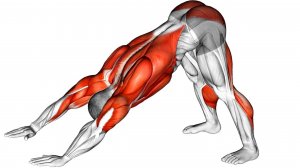 Выполняйте эти 2 Упражнения в течение 14 дней и смотрите в зеркало