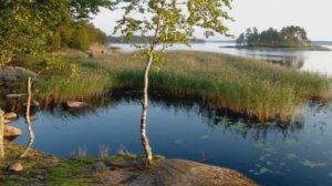 ДЕРЕВЕНЬКА МОЯ.