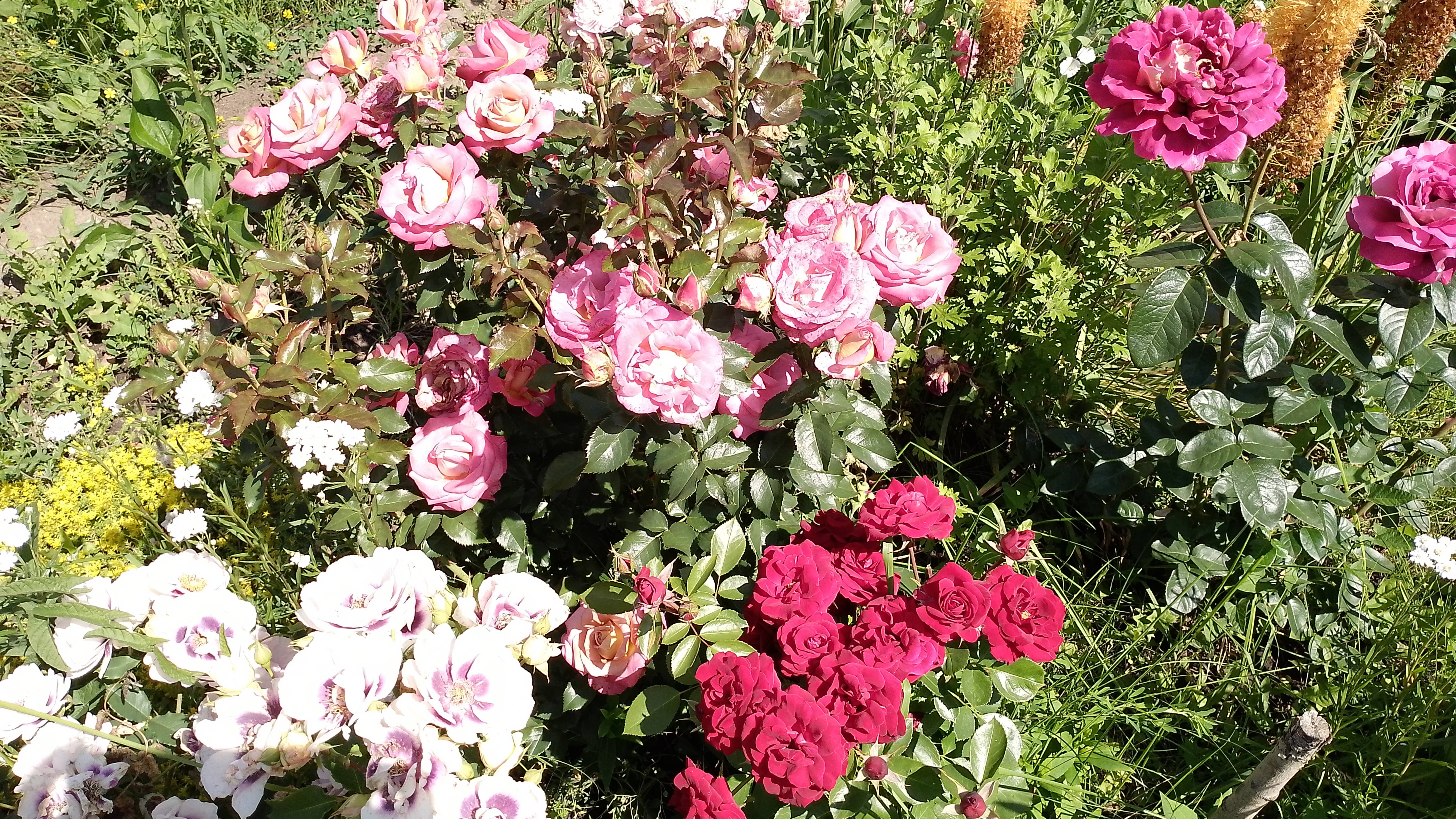 Наконец-то добралась до Чижика. смотреть онлайн