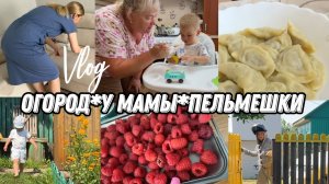 VLOG: Дискотека С УТРА/Приварил КАЛИТКУ/Едим ПЕЛЬМЕНИ у МАМЫ