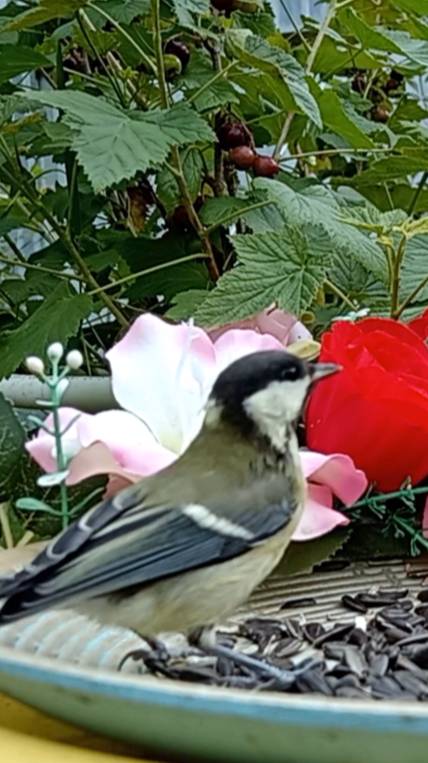 Большак смотреть онлайн