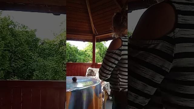 ёж смотреть онлайн