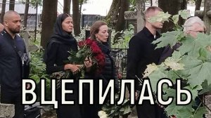 Не вставая с колен.  Юная жена Романа Старовойта не могла оторваться от могилы мужа.