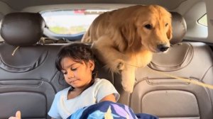 Рискнули проехать 2 тыс км через Индию с собаками и детьми. Подвела машина. Родственники заждались