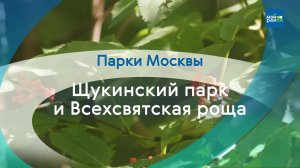 Парки в деталях: Щукинский парк и Всехсвятская роща