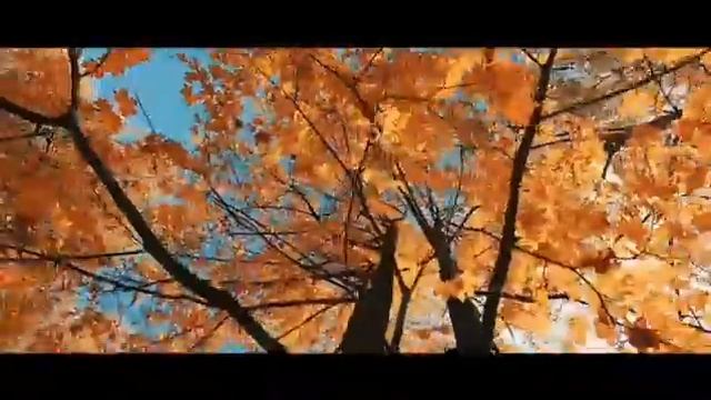 19 декабря 2020 г. смотреть онлайн